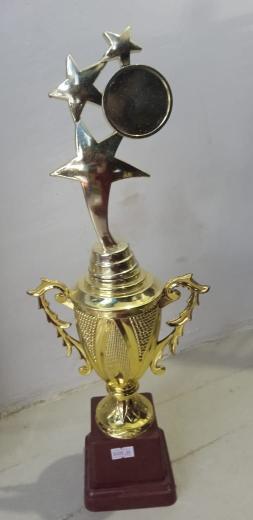 Trophy thumbnail 1