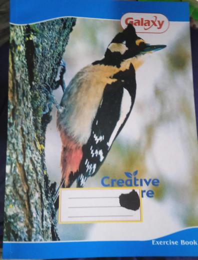 Hindi note book thumbnail 1