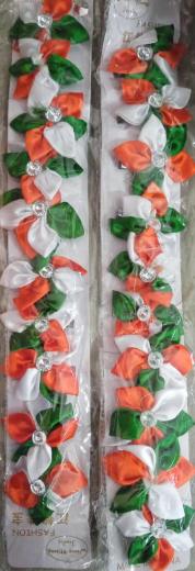 Clip tiranga thumbnail 1