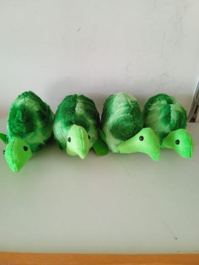 Tortoise thumbnail 1
