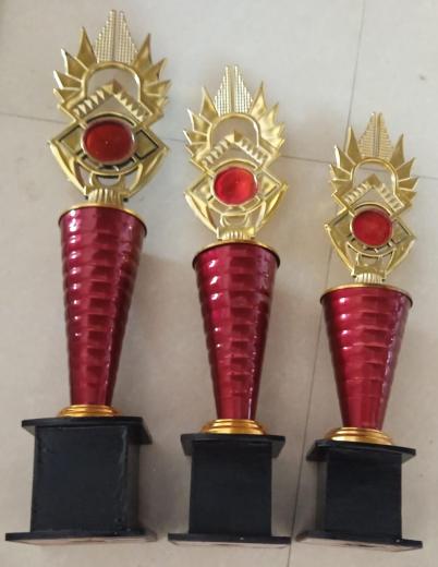 Trophy thumbnail 1